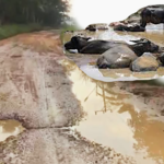 Mirip Kubangan Kerbau, Jalan Utama Damai Makmur Rimbo Ulu Rusak Parah
