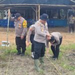 Kapolres Tanjabtim Tanam Jagung Dukung Program Ketapang.