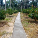 Pemdes Basi Manfaatkan Dana Desa untuk Infrastruktur Jalan
