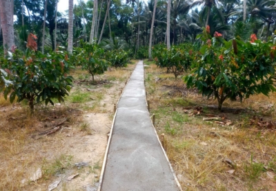 Pemdes Basi Manfaatkan Dana Desa untuk Infrastruktur Jalan