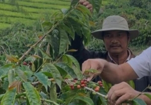 Langkah Berani PTPN IV, Sulap Bangunan Tak Terpakai Jadi Pabrik Kopi Kelas Dunia