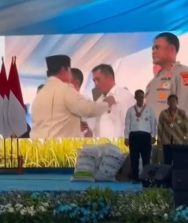 Bupati Aep Terima Tanda Kehormatan dari Presiden, Karawang Masuk 10 Besar Produksi Beras Nasional