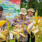 Kapolres Karawang Laksanakan Giat Panen Raya Jagung Kuartal IV Tahun 2025, Sekaligus Pelaksanaan Zoom Meeting Bersama Kapolri