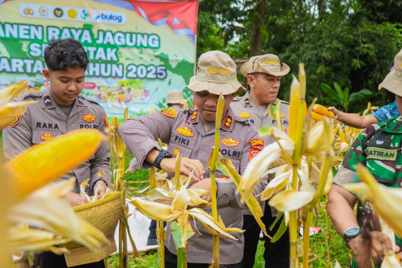 Kapolres Karawang Laksanakan Giat Panen Raya Jagung Kuartal IV Tahun 2025, Sekaligus Pelaksanaan Zoom Meeting Bersama Kapolri