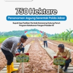 Penanaman Jagung Serentak Polda Jabar, Bupati Aep Pastikan Pemkab Karawang Dukung Penuh Program Ketahanan Pangan Presiden RI