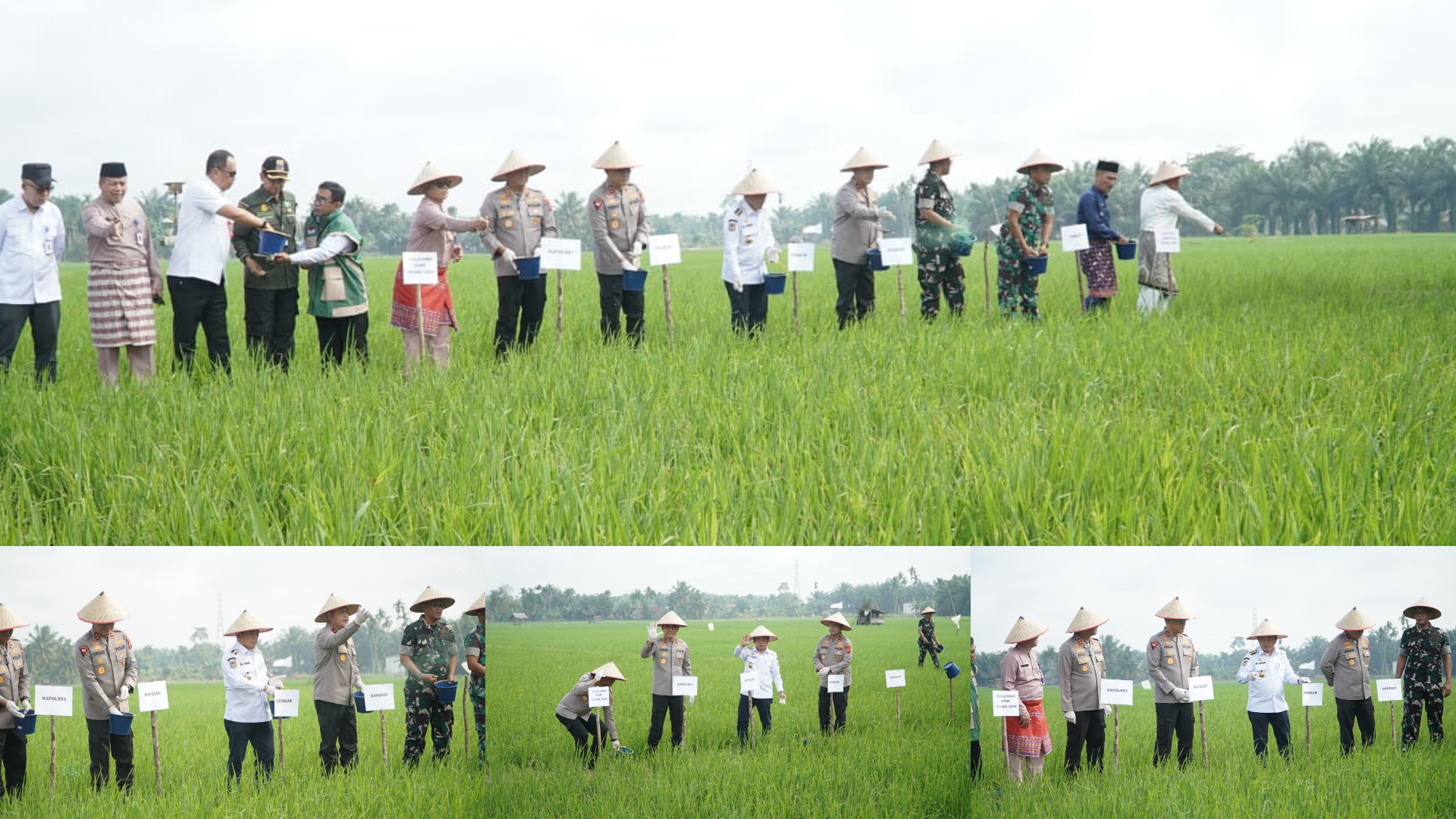 Presiden Prabowo Umumkan Indonesia Swasembada Pangan: Gubernur Al Haris Hadiri Tasyakuran Secara Virtual