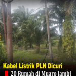 Kabel Listrik PLN Dicuri, 20 Rumah di Muaro Jambi Gelap Gulita