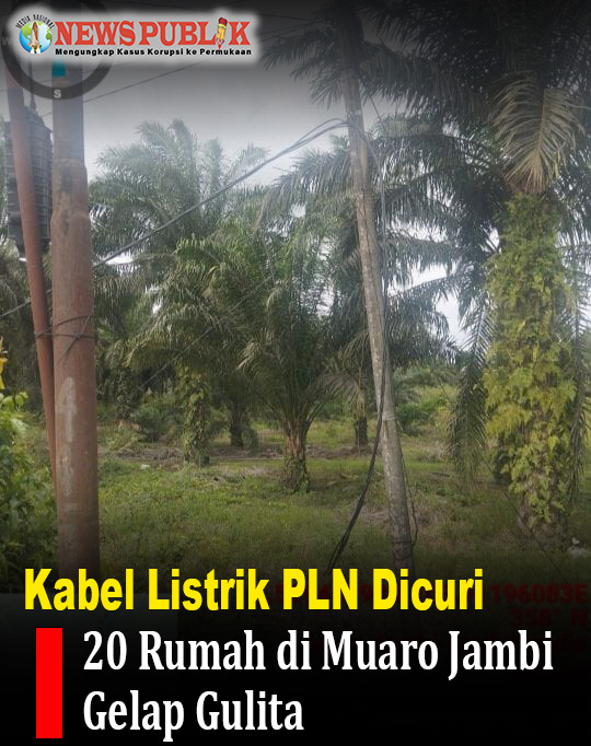 Kabel Listrik PLN Dicuri, 20 Rumah di Muaro Jambi Gelap Gulita