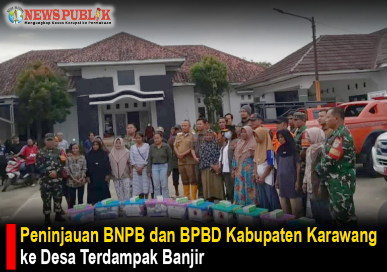 Peninjauan BNPB dan BPBD Kabupaten Karawang ke Desa Terdampak Banjir