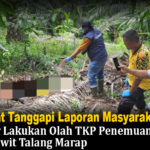 Gerak Cepat Tanggapi Laporan Masyarakat Polres Kaur Lakukan Olah TKP Penemuan Mayat di Kebun Sawit Talang Marap