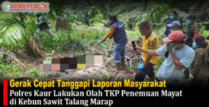 Gerak Cepat Tanggapi Laporan Masyarakat Polres Kaur Lakukan Olah TKP Penemuan Mayat di Kebun Sawit Talang Marap