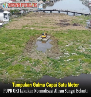 Tumpukan Gulma Capai Satu Meter, PUPR OKI Lakukan Normalisasi Aliran Sungai Belanti