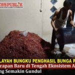 WILAYAH BUNGKU PENGHASIL BUNGA PALA: Harapan Baru di Tengah Ekosistem Alam yang Semakin Gundul