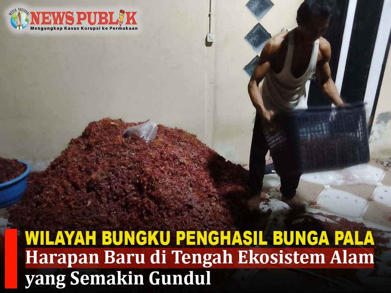 WILAYAH BUNGKU PENGHASIL BUNGA PALA: Harapan Baru di Tengah Ekosistem Alam yang Semakin Gundul WILAYAH BUNGKU PENGHASIL BUNGA PALA: Harapan Baru di Tengah Ekosistem Alam yang Semakin Gundul