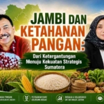 JAMBI DAN KETAHANAN PANGAN: Dari Ketergantungan Menuju Kekuatan Strategis Sumatera