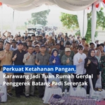 Gerdal Penggerek Batang Padi serentak