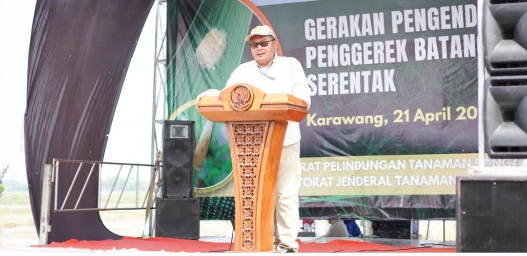 Gerdal Penggerek Batang Padi serentak