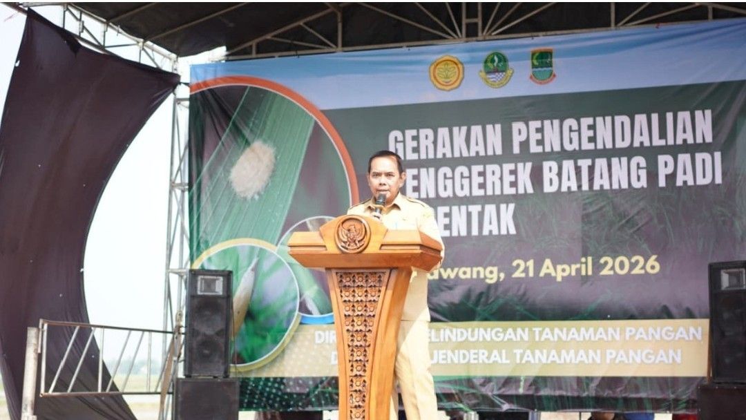 Gerdal Penggerek Batang Padi serentak