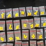 Polisi Grebek Pengedar Obat Keras Ilegal di Pakuhaji: Ratusan Butir Pil Disita