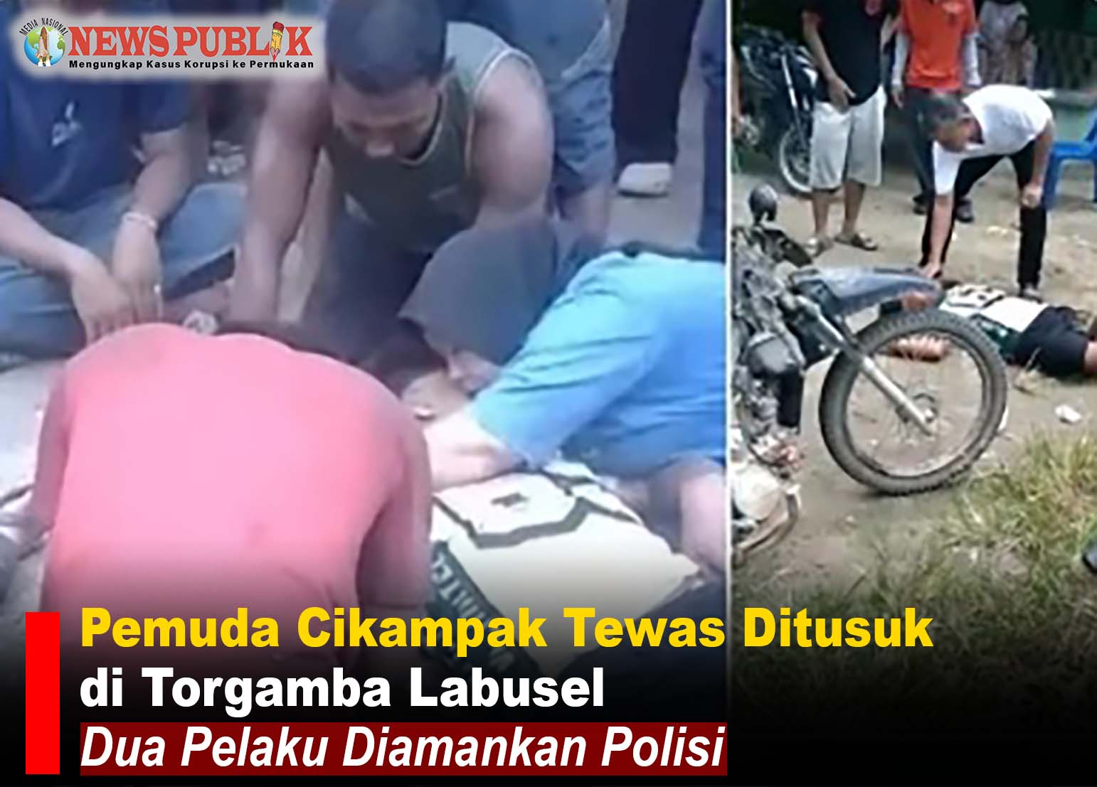 Kasus penikaman pemuda di Torgamba Labuhanbatu Selatan