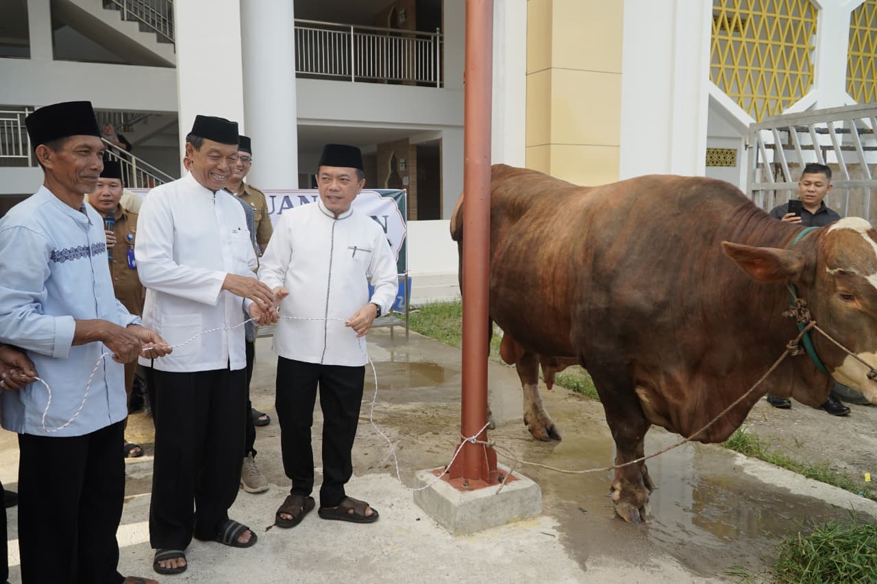 Gubernur Al Haris Serahkan Sapi Kurban Presiden Prabowo 930 Kilogram di Islamic Center Jambi Al Haris serahkan sapi kurban Presiden Prabowo di Jambi