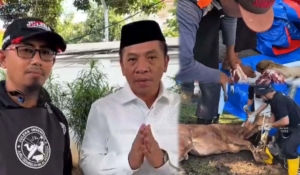 Bupati Aep tinjau sapi kurban Presiden Prabowo di Karawang