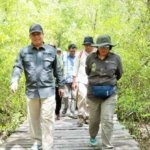 Verifikasi kawasan Mangrove Pangkal Babu Tanjab Barat