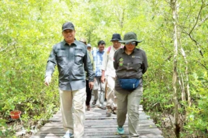 Verifikasi kawasan Mangrove Pangkal Babu Tanjab Barat