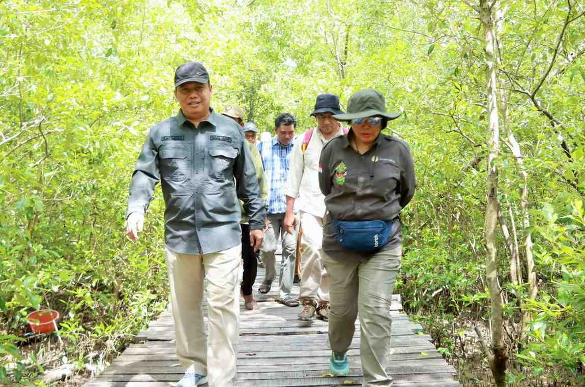 Verifikasi kawasan Mangrove Pangkal Babu Tanjab Barat