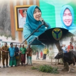 Warga Batang Hari dan Muaro Jambi Terima Bantuan Sapi Kurban dari Hj Hesnidar Haris
