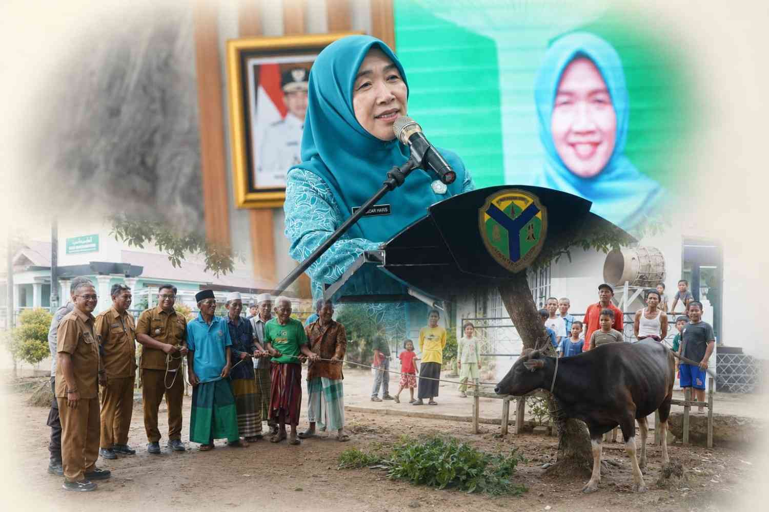 Sambut Idul Adha 1447 H, Hj Hesnidar Haris Salurkan Sapi Kurban ke Dua Kabupaten Warga Batang Hari dan Muaro Jambi Terima Bantuan Sapi Kurban dari Hj Hesnidar Haris