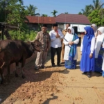 Hj Hesti Haris serahkan sapi kurban di Desa Tangkit