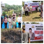 Polres Labusel Sembelih 8 Ekor Hewan Qurban