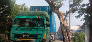 Mobil box kontainer