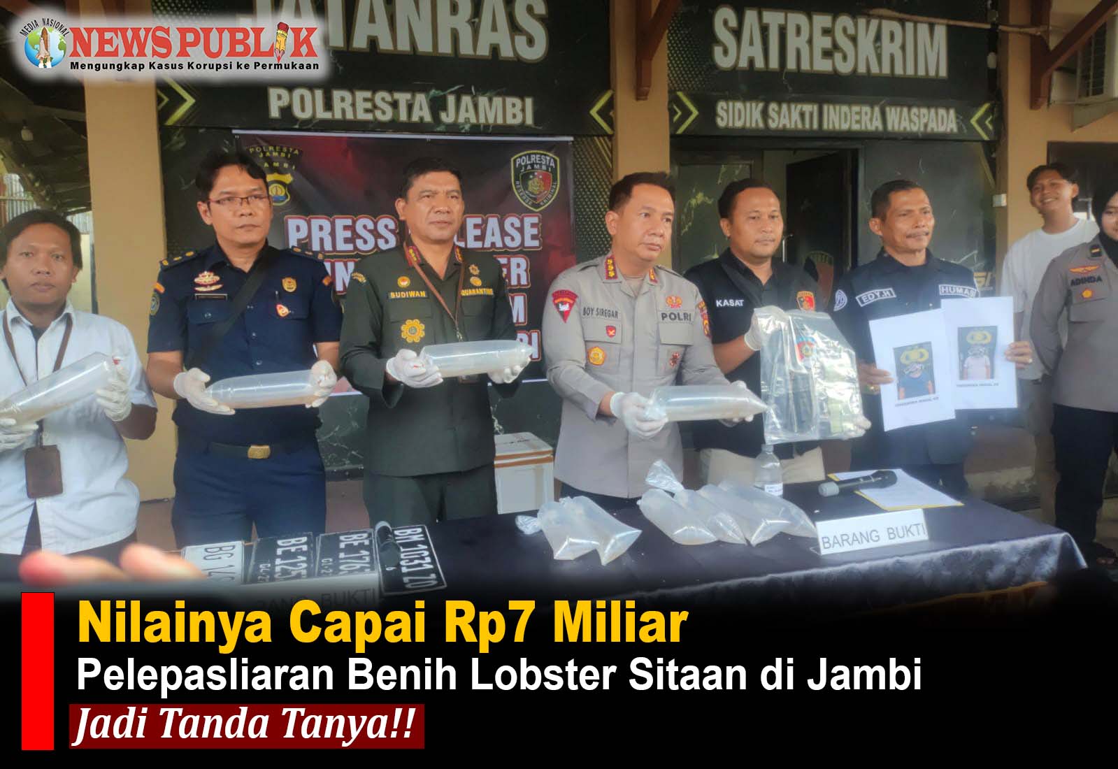 Nilainya Capai Rp7 Miliar, Pelepasliaran Benih Lobster Sitaan di Jambi Jadi Tanda Tanya