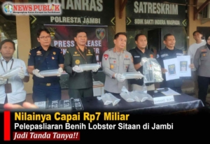 Benih lobster Rp7,18 miliar diamankan Polresta Jambi.