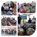 Kakao Sabang, Permata Tersembunyi di Ujung Barat Indonesia” Jadi Semangat Perkuat Agribisnis dan Kesejahteraan Petani | News Publik.perss