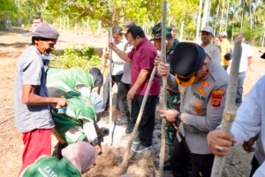 Lahan Kosong di Sabang Terus Dioptimalkan, Wali Kota Dorong Pengembangan Padi Gogo | News Publik.perss