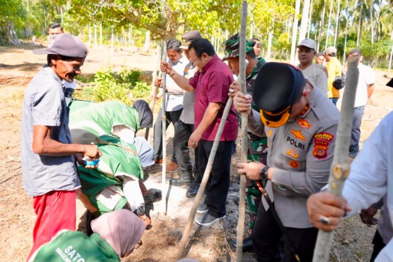 Lahan Kosong di Sabang Terus Dioptimalkan, Wali Kota Dorong Pengembangan Padi Gogo | News Publik.perss