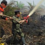 3 Hari Tak Padam! Al Haris Jibaku Hadapi Karhutla di Lahan Gambut