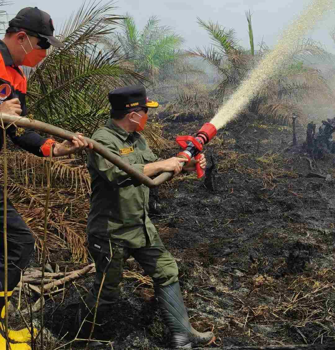 3 Hari Tak Padam! Gubernur Al Haris Jibaku Hadapi Karhutla di Lahan Gambut 3 Hari Tak Padam! Al Haris Jibaku Hadapi Karhutla di Lahan Gambut