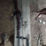 Senpi Rakitan dan 14 Peluru Diserahkan Warga Secara Sukarela ke Polres Kaur