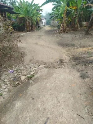 Proposal sudah Di-ACC Walikota, Perbaikan Jalan Lorong Arang Masih Mangkrak: Dinas PURP Dinilai Lambang!
