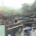 Lahan Dibakar di Tengah Kemarau, Polres Kaur Ingatkan Bahaya Karhutla