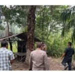 Polsek Kampung Rakyat Gerebek Sarang Diduga Narkoba, Sosok P Diburu